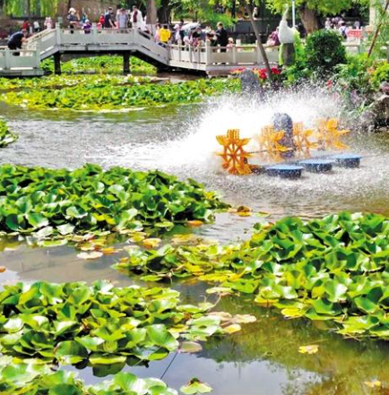 走，到五泉山公園看花展去