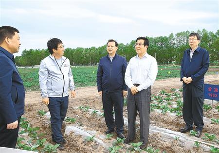 林鐸在天?？h調(diào)研指導(dǎo)脫貧攻堅工作時強(qiáng)調(diào)  拉開架勢持續(xù)用力構(gòu)建扶貧產(chǎn)業(yè)體系 多措并舉固強(qiáng)補(bǔ)弱鞏固提升脫貧成果