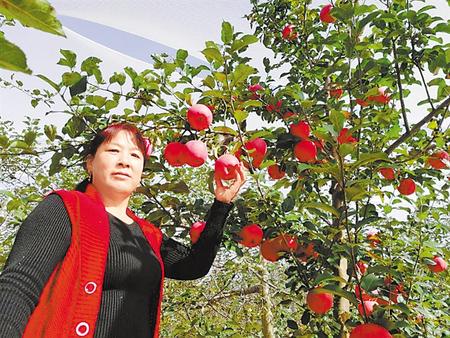 【走向我們的小康生活】馮巧葉，“大家一起過好日子”