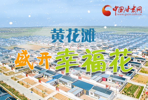 【跟著總書(shū)記看甘肅】長(zhǎng)圖|武威黃花灘盛開(kāi)幸?；?