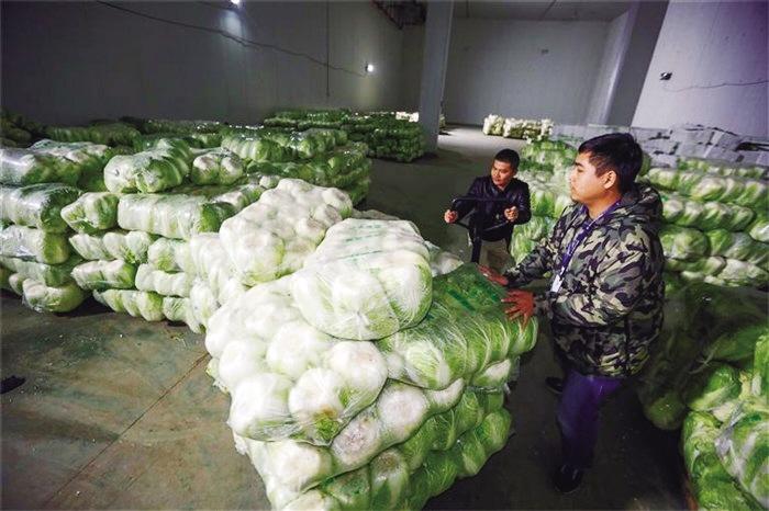 蘭州市已儲備1萬噸冬春蔬菜 以耐貯存、易周轉(zhuǎn)品種為主