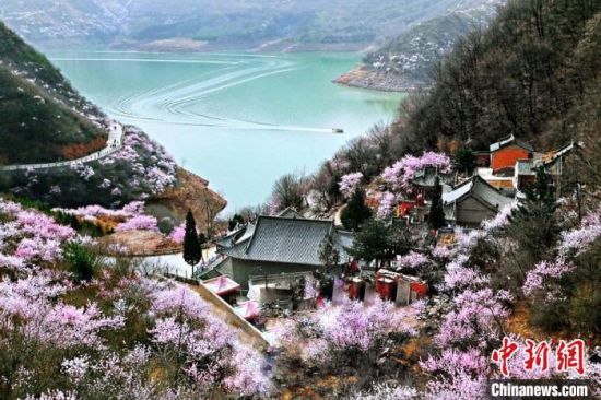 甘肅平?jīng)鍪惺侵袊鴥?yōu)秀旅游城市。圖為平?jīng)鲠轻忌较率锾一ㄊ㈤_。(資料圖) 平?jīng)鍪形麄鞑抗﹫D