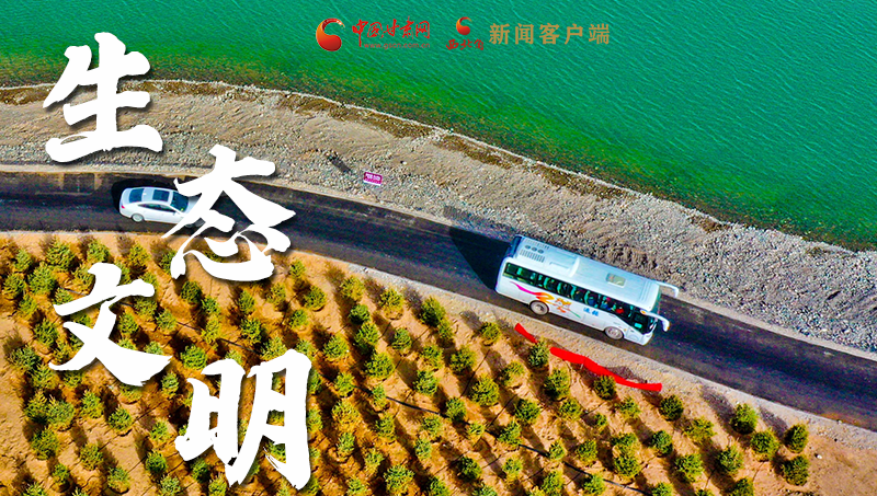 彈幕海報丨熱議甘肅省委十三屆十六次全會 網(wǎng)民聲音在回響！