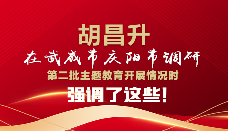 圖解|胡昌升在武威市慶陽市調(diào)研第二批主題教育開展情況時(shí)強(qiáng)調(diào)了這些！