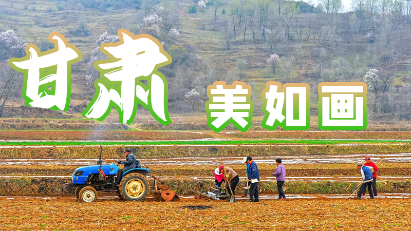 微海報(bào)|甘肅，美如畫