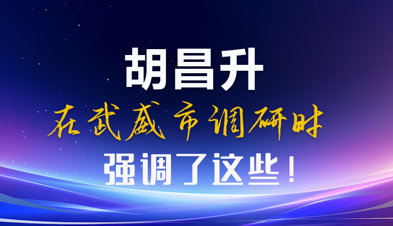 圖解|胡昌升在武威市調(diào)研時(shí)強(qiáng)調(diào)了這些！