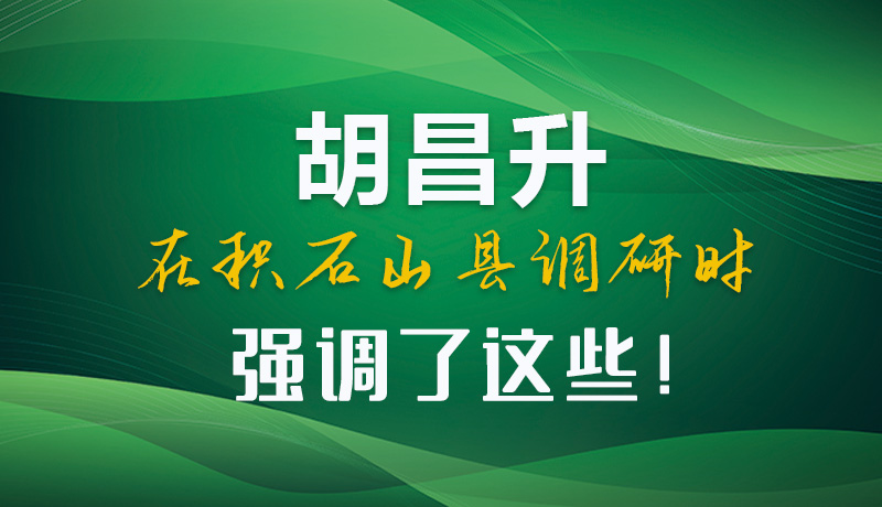 圖解|胡昌升在積石山縣調(diào)研時(shí)強(qiáng)調(diào)了這些！