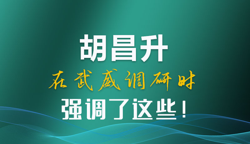 圖解|胡昌升在武威調研時強調了這些！