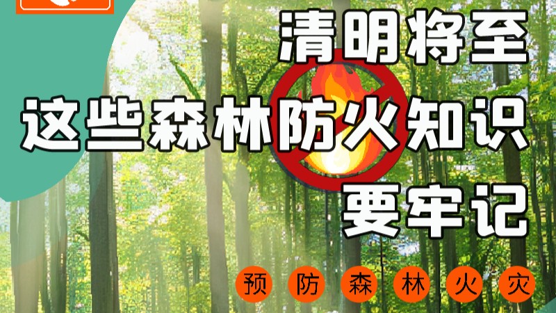 【甘快看】圖解|緊繃“安全弦”！清明，這些森林防火知識要牢記